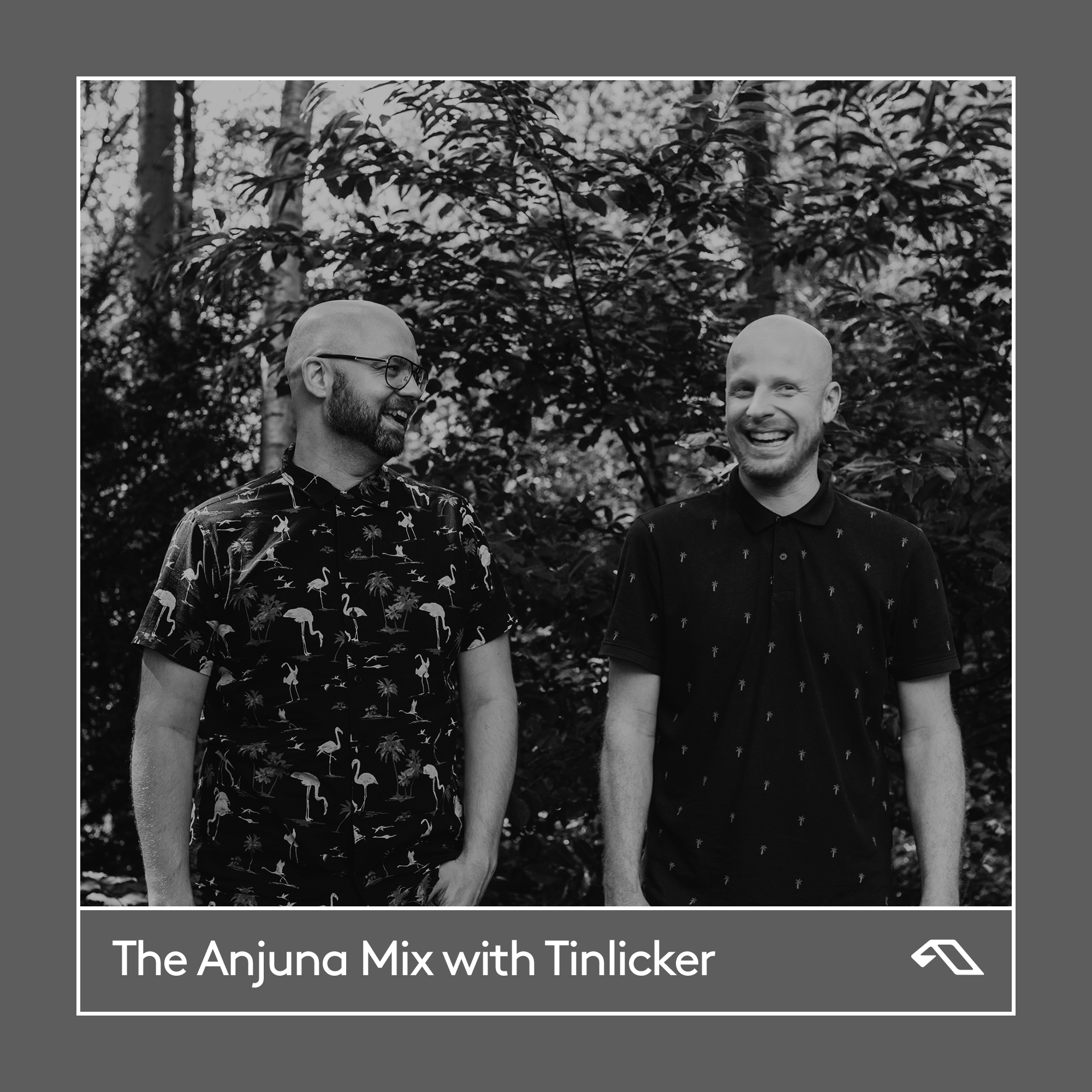 The Anjuna Mix with Tinlicker (DJ Mix)
