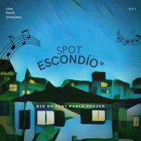 Spot Escondido (feat. BigDhMc) - Single - Pablo Prozer