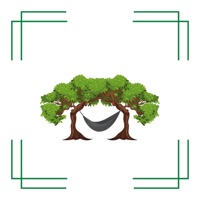 Still Under the Trees - Single - Trae-D