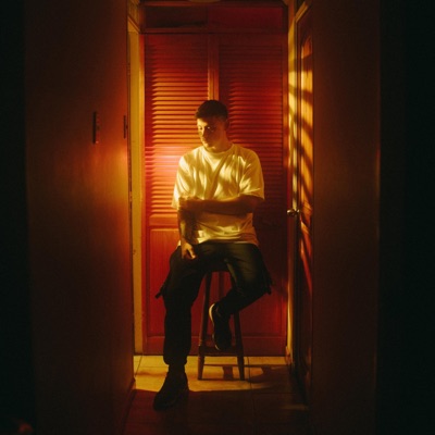 Inseguridad - Single