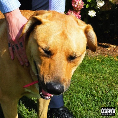 10,000 Dogs - Single