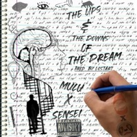 Ups & the Downs of the Dream (feat. SenseiDBS) - Single - Mulu