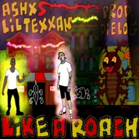 Like a Roach (feat. Lil Texxan) - Single - ASHXS