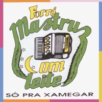 Só pra Xamegar - Mastruz Com Leite