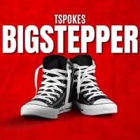 Big Stepper - Single - Tspokes