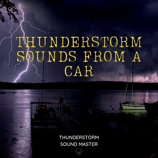 Thunderstorm Sounds from a Car