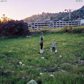 Through the Pines Hark Madley & Lando Chill