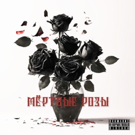 Мёртвые розы Чья-то тень
