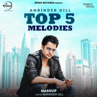 Amrinder Gill Top 5 Melodies - Single - Amrinder Gill