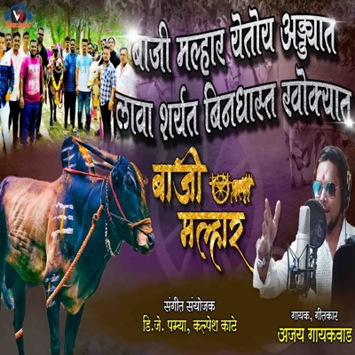 Baji Malhar Yetoy Addyat Lava Sharyat Bindast Khokyat - Single