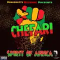 Spirit Of Africa