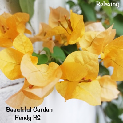 Beautiful Garden - Single