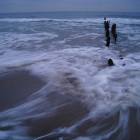 Flatline - Single - Dxxdly