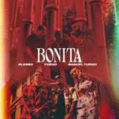 Bonita artwork