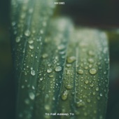 Soft Rain Drops artwork