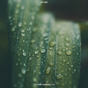 Rain To Fall Asleep