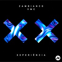 Album cover for TECHNO + TEQUILA (feat. Morgan Harvill) [Filipe Guerra Remix] / Redlight (ZNZBR Remix) [XXperiência Edit] [Mixed] by Disco Lines, Swedish House Mafia & Sting