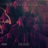 Will nicht wissen - Single