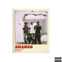 Snakes (feat. Kofi Potter) - Single - Kwesi Flex