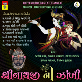 Shrinathji Ni Zankhi-Nonstop Satsang Kirtan Part 10 - Various Artists