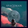 Ttd Spaceman - Single