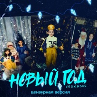 Новый год (Цензурная версия) - Single - VESNA305