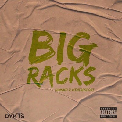 Big Racks (feat. Gingko & NTMTRESFORT) - Single