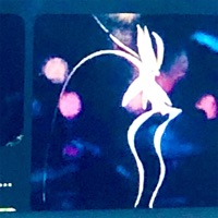 Adapt/ Understand - Single - aloisius