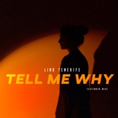 Tell Me Why (Extended Mix) artwork