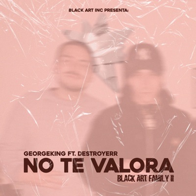 No Te Valora (feat. Georgeking & Destroyerr) - Single