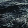 Momentum