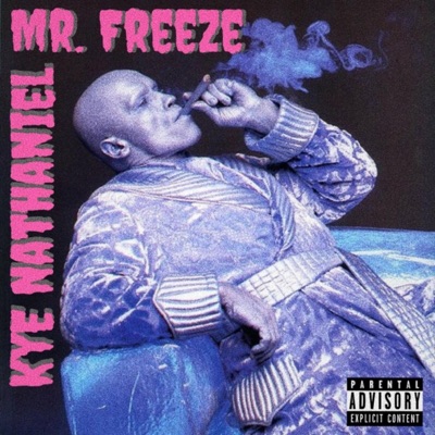 Mr. Freeze - Single