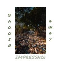BAGGIN' AWAY - Single - ImpressNo1
