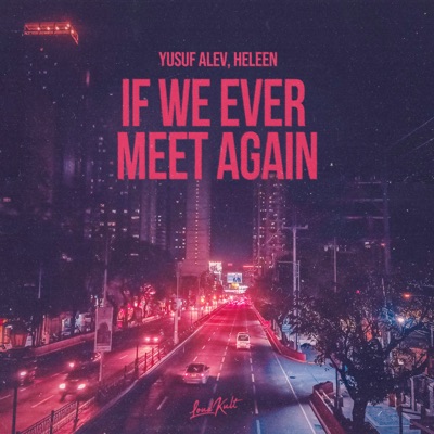 If We Ever Meet Again - Single