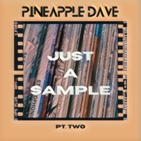 Just a Sample Pt. Two - Pineapple Dave
