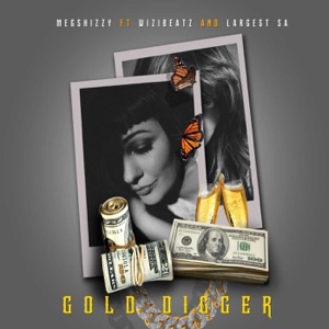 Gold Digger (feat. WiziBeatz & Largest SA)