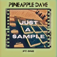 Just a Sample Pt. One - Pineapple Dave