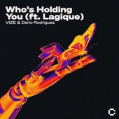 Who's Holding You (feat. Lagique) artwork
