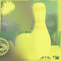 Who Do You Think You Are? I Am! - Single - Shamana