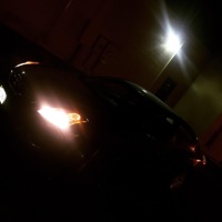 Pimpin Mayne - Single - King Kauran