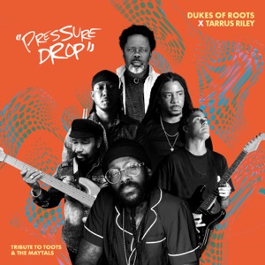 Pressure Drop - Single
