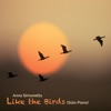 Like the Birds (Solo Piano) - Single