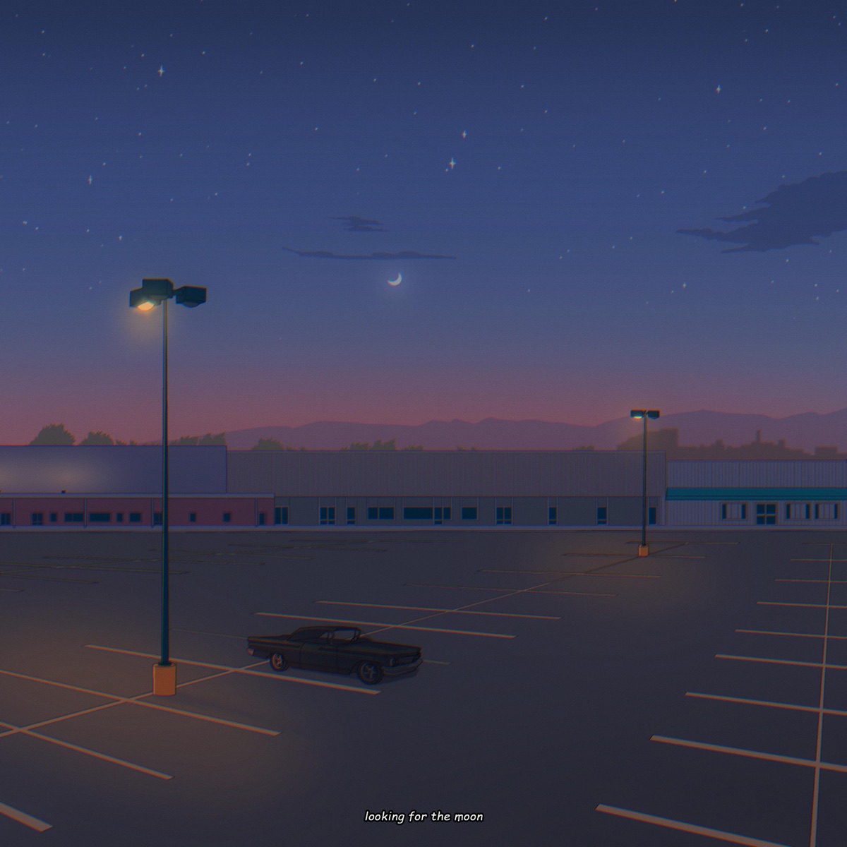 Looking For the Moon - Single