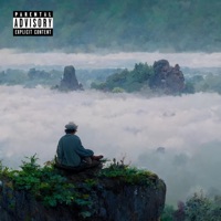 Artistical Crisis - Single - Venfex