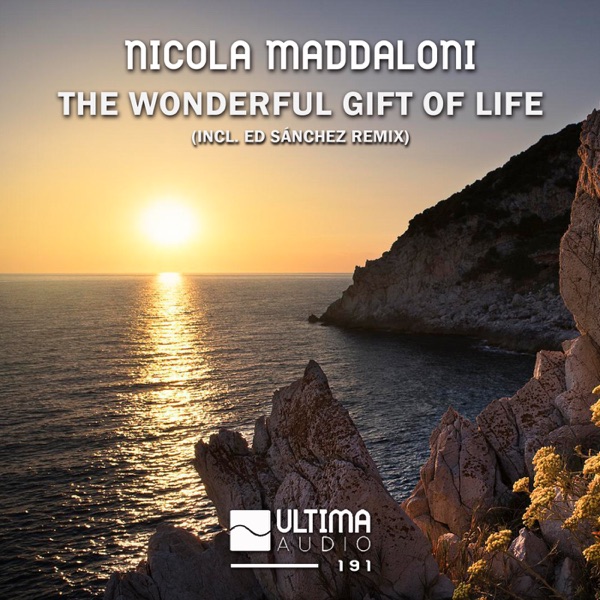 The Wonderful Gift of Life - Single