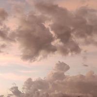 1942 (feat. Koi & luek) - Single - Reyifu