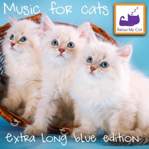 Music for Cats (Extra Long Blue Edition)