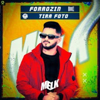 Forrózin Tira Foto - Single - djmelk & Alysson CDs Oficial