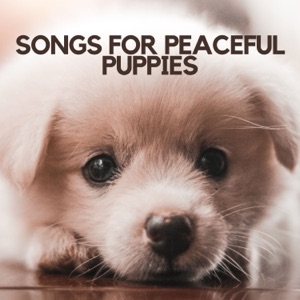 Songs for Peaceful Puppies