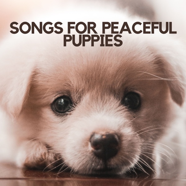 Songs for Peaceful Puppies